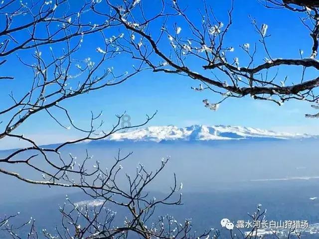 疯狂的聚会