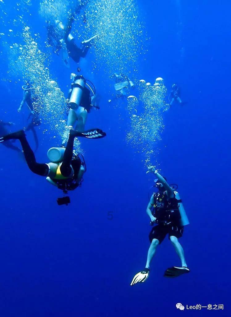 海滩度假胜地逃脱