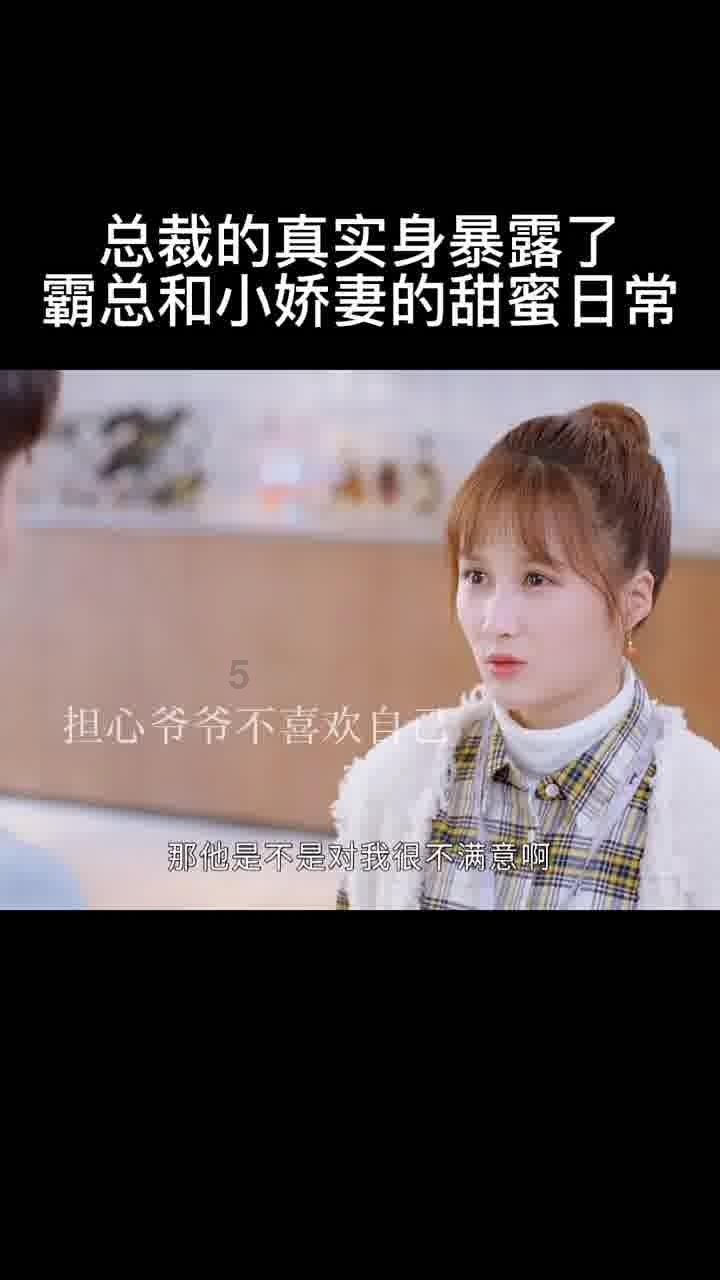 动物拼一拼