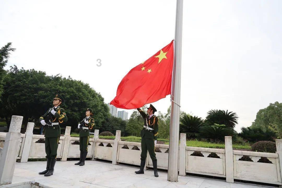 拯救枯树
