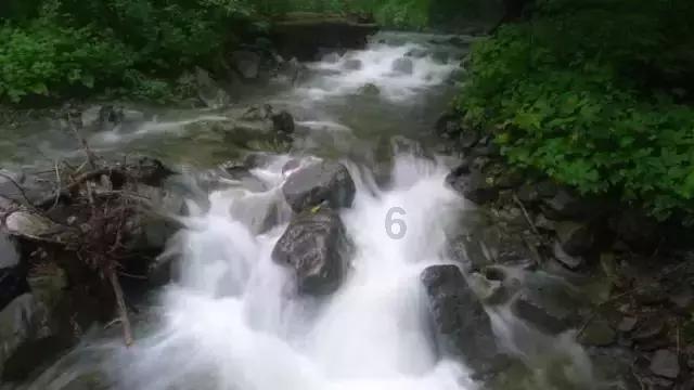 脑洞小老弟无实名认证