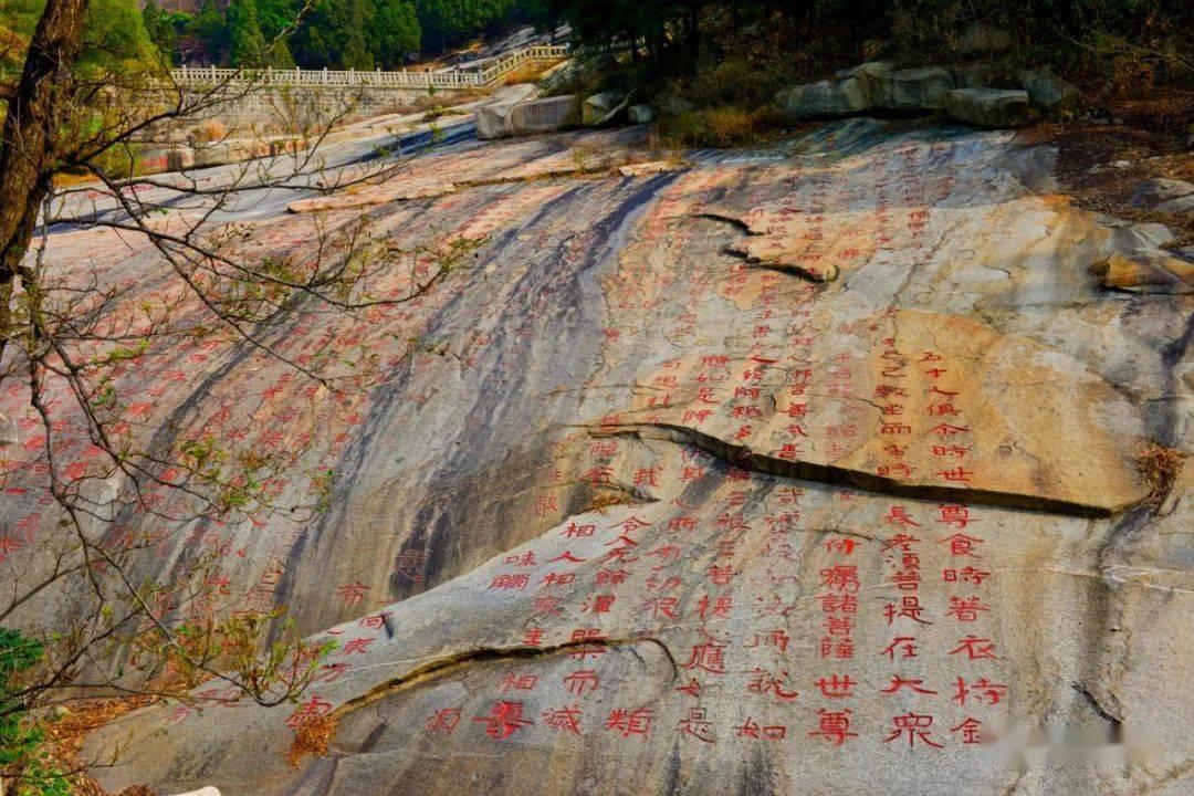 正式更名“大学”！浙江两所高校揭牌