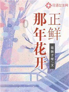 豆娃勇士2