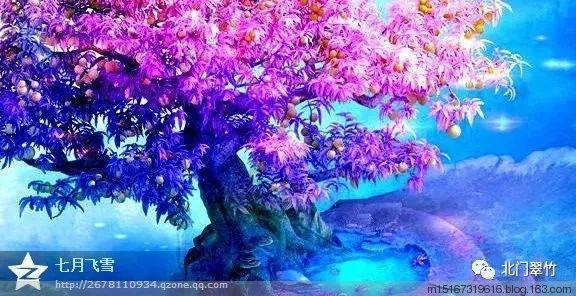 我的英雄学院