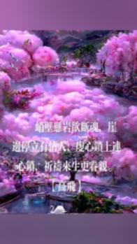 秘境对决